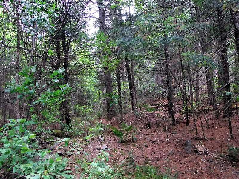 331 South Hemore Road Houlton, ME 04730 - Photo 13 of 35 Land.