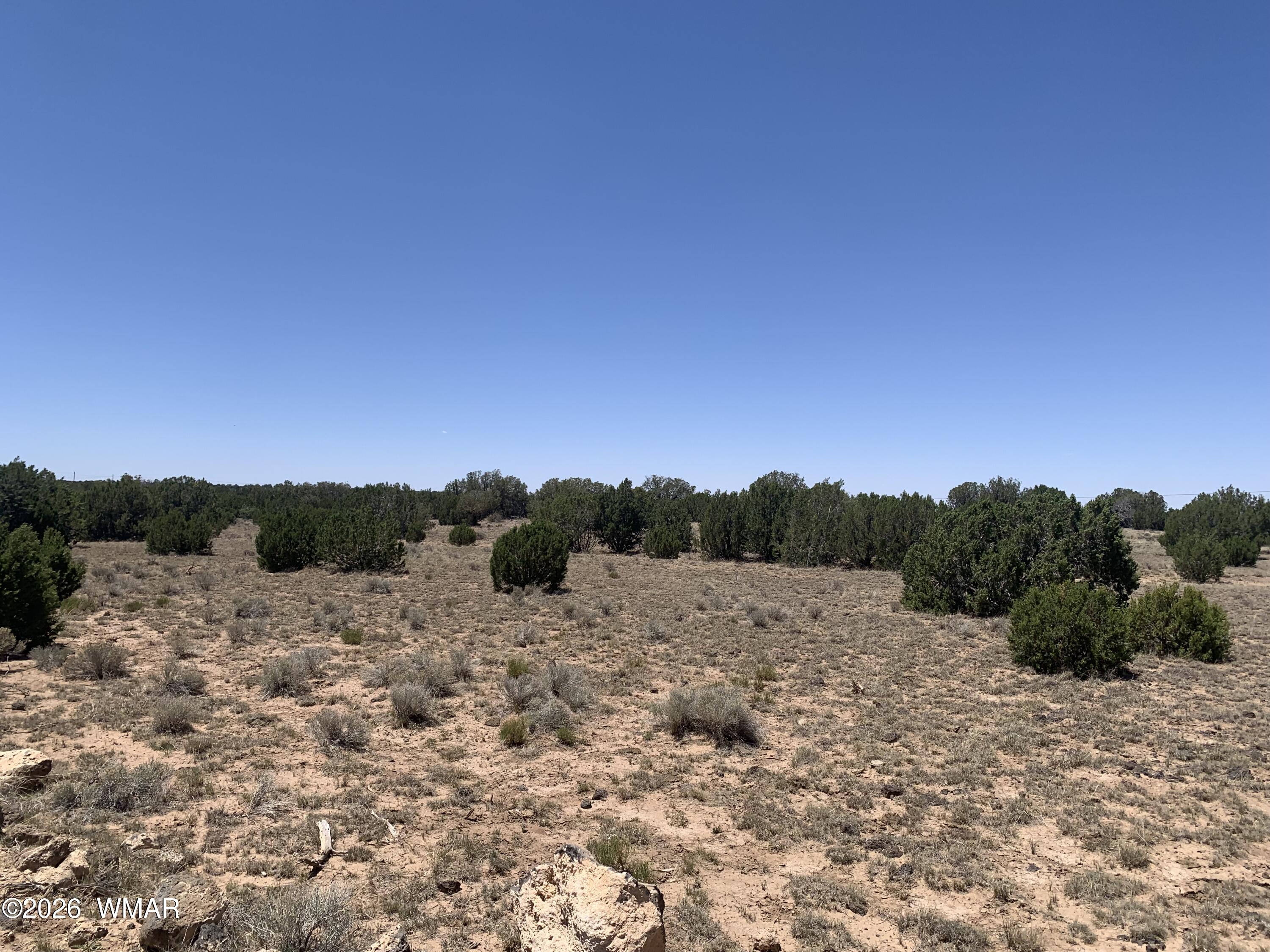 110 Mesa Redondo Ranch Road Concho, AZ 85924 - Photo 5 of 10 a view of a forest with a mountain in the background