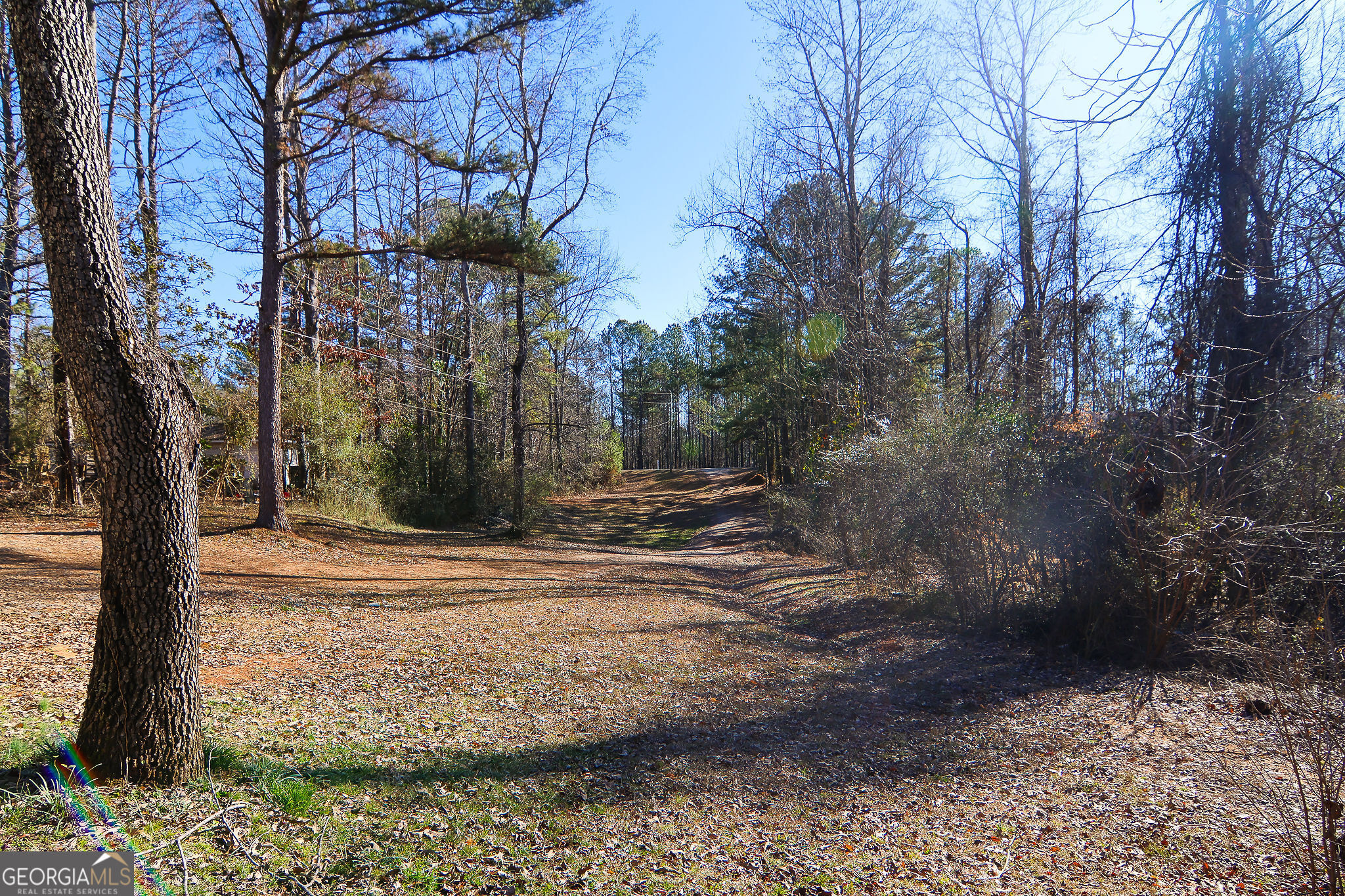 338 Young Road Franklin, GA 30217 - Photo 4 of 43 a view of a yard with plants and trees
