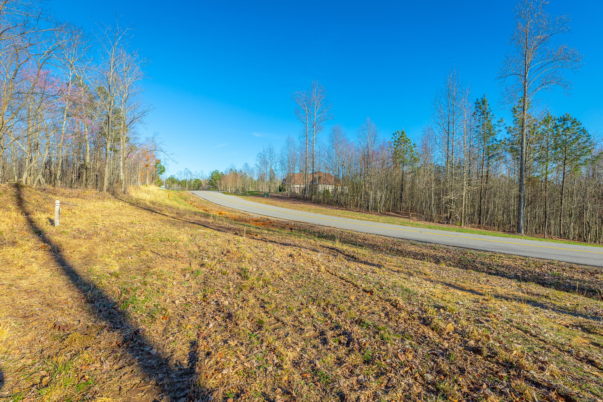 0 Cherokee Path, Unit JF269 Jasper, TN 37347 - Photo 12 of 94 0 Cherokee Path - JF269 HD-9