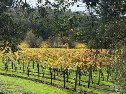 $1,396,000 | 2759 Bennett Ridge Road, Santa Rosa, CA 95404