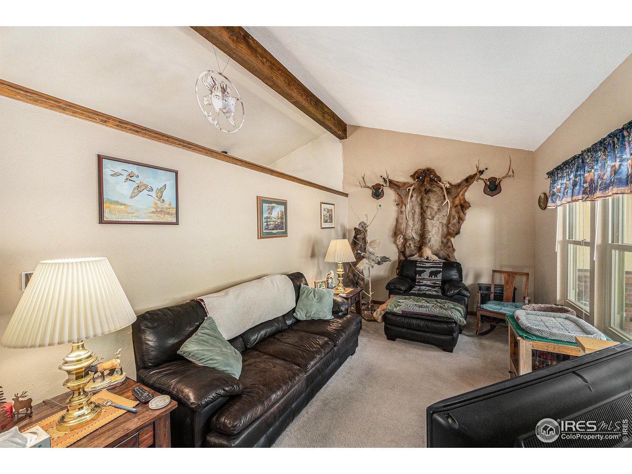 3334 34th Street Greeley, CO 80634 - Photo 4 of 23 Living Room