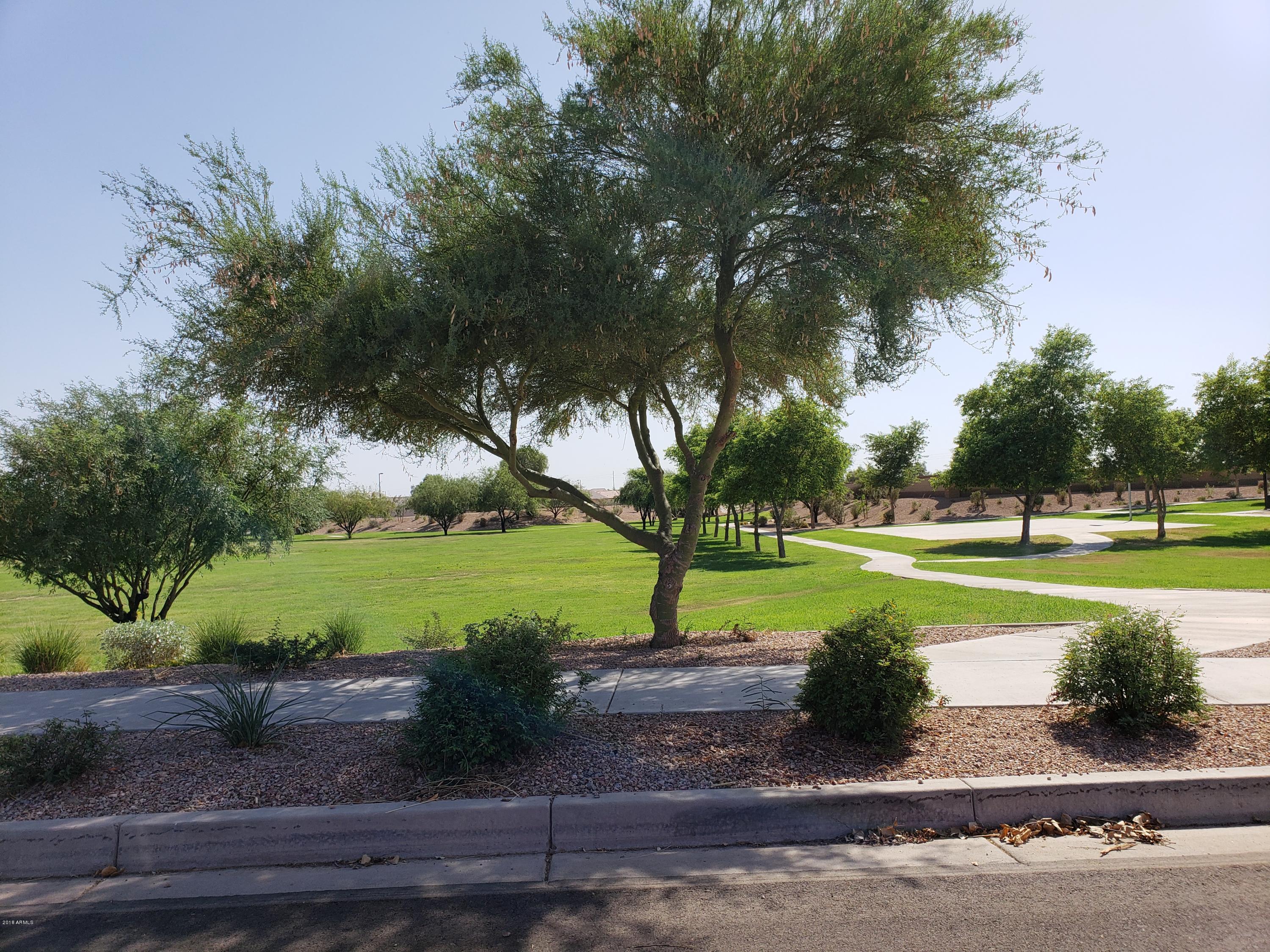 25579 West Coles Road Buckeye, AZ 85326 - Photo 26 of 35 park 7