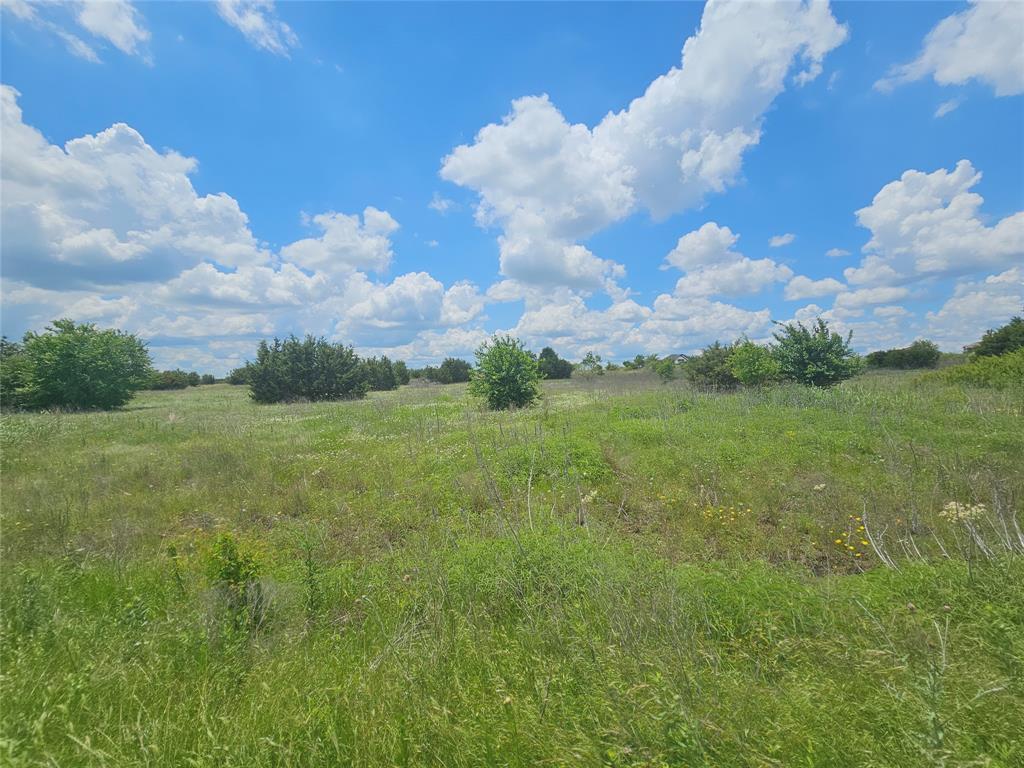 TBD HCR 1112 Rio Vista Blum, TX 76627 - Photo 1 of 5 View of undeveloped land with rural landscape