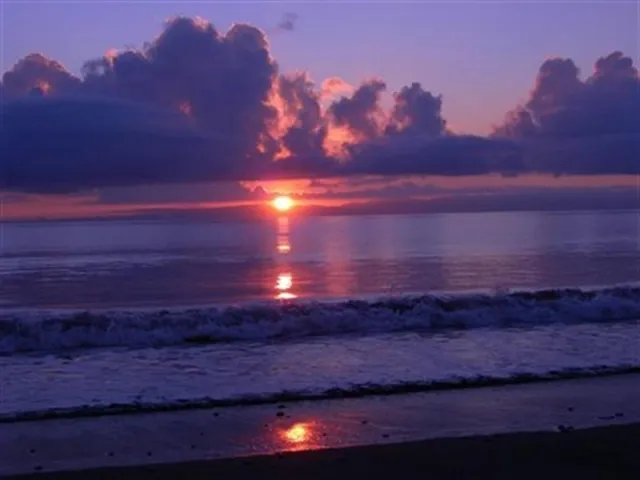 $8,000 | 1195 Winding Oaks Circle East, Unit 307, Vero Beach, FL 32963