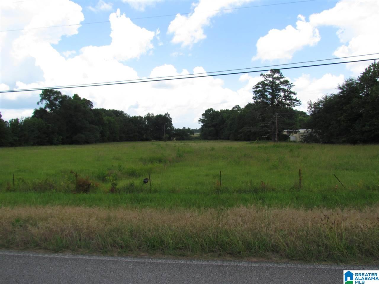 0 Gnatville Road Piedmont, AL 36272 - Photo 3 of 4