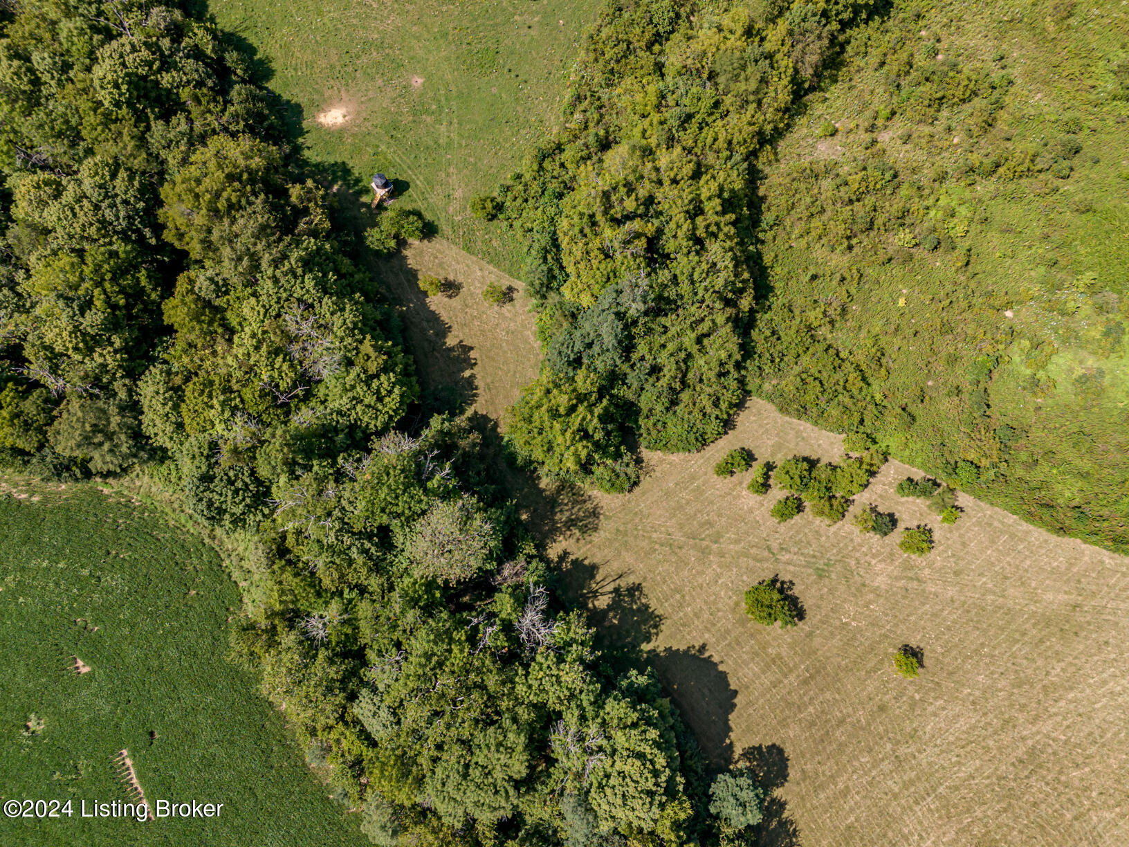1519 Yoder Tipton Road Taylorsville, KY 40071 - Photo 109 of 114 DJI_20240822152107_0854_D