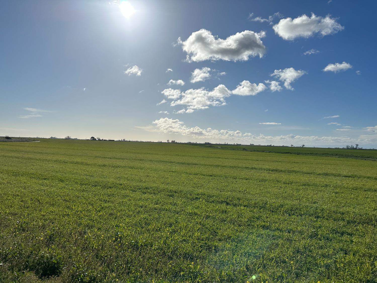 0 South Turner Island Road Los Banos, CA 93620 - Photo 2 of 12