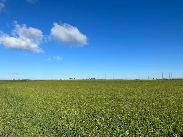 a view of yard and ocean