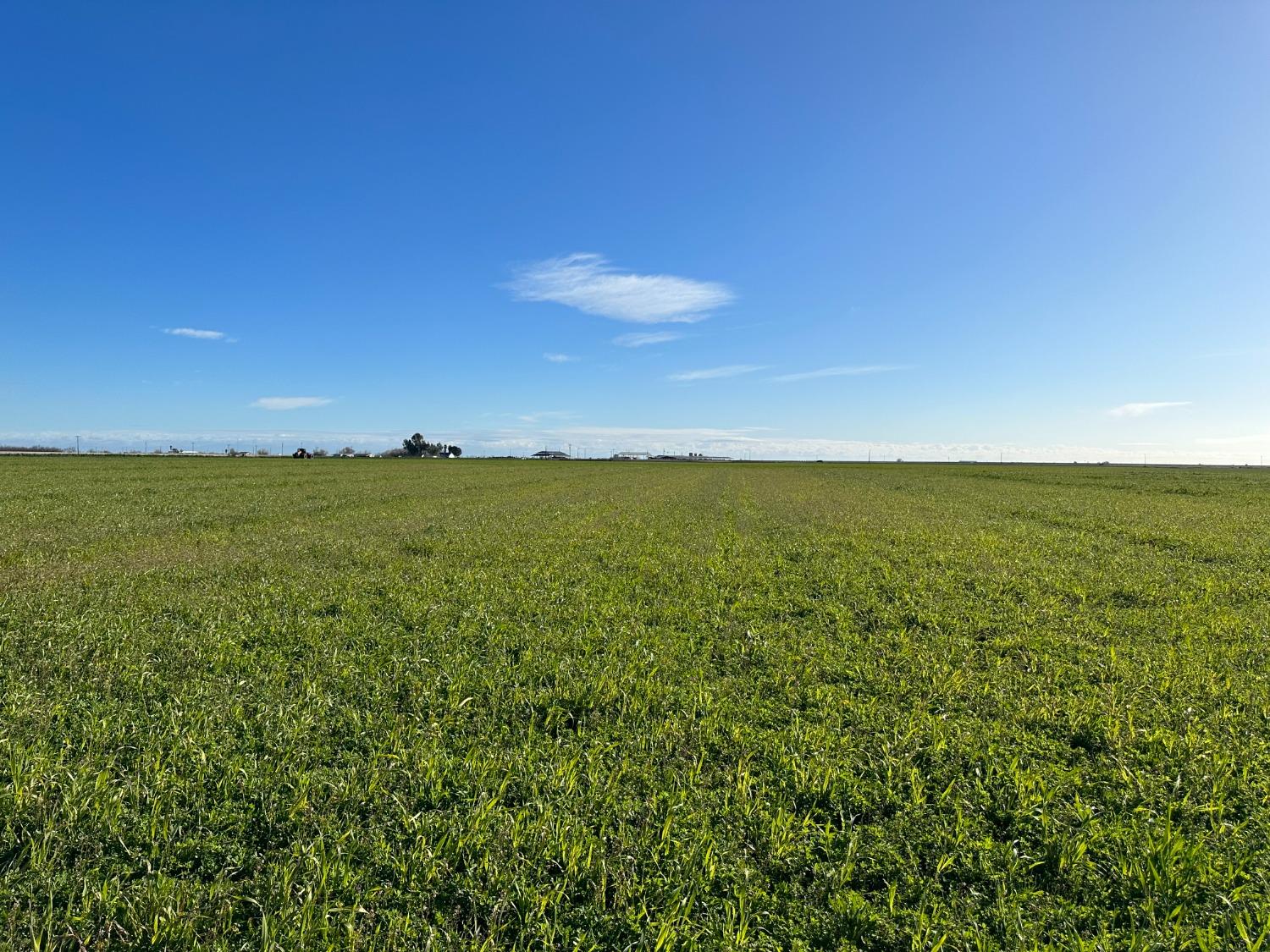 0 South Turner Island Road Los Banos, CA 93620 - Photo 5 of 12 a view of yard and ocean