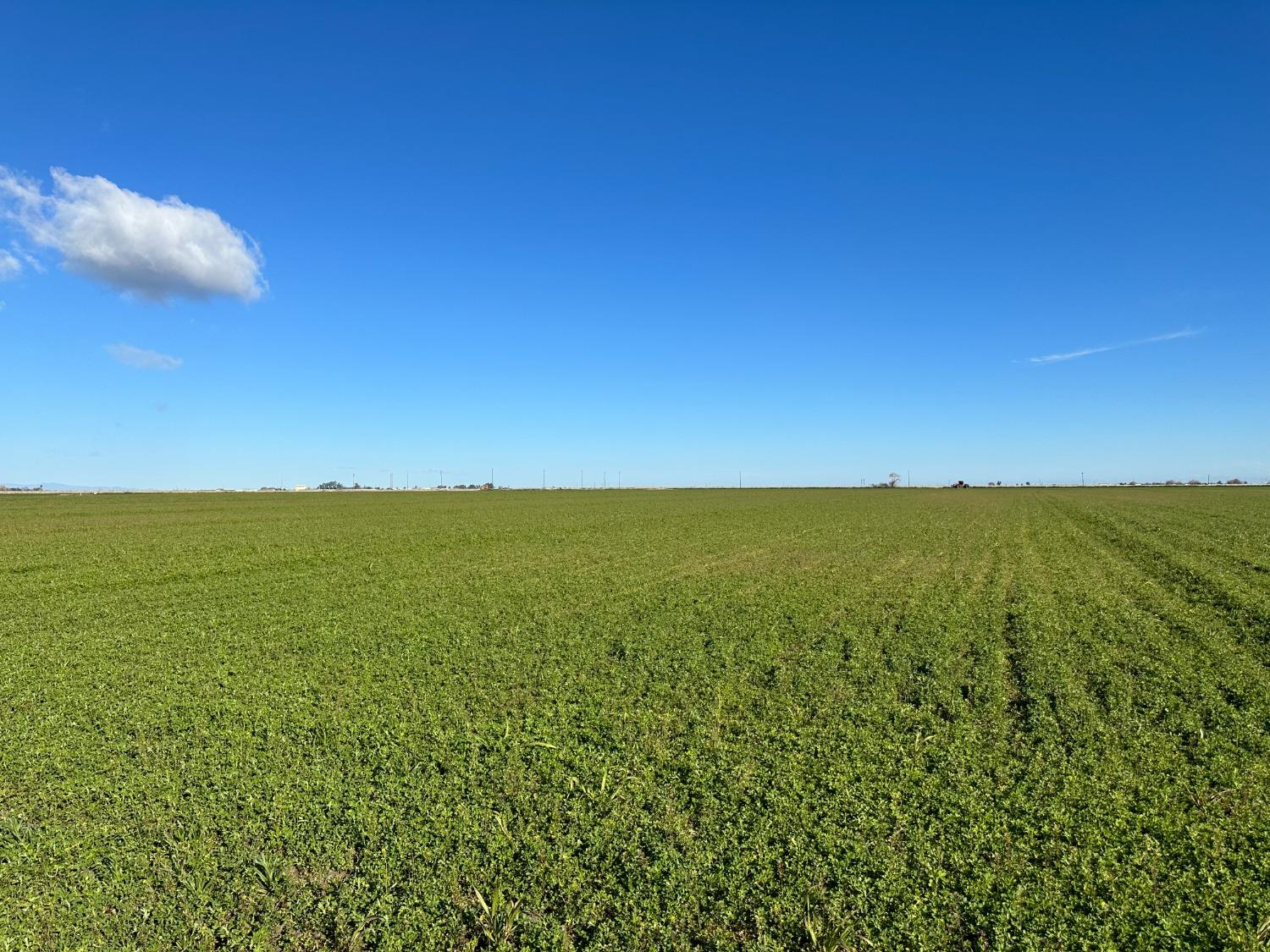 0 South Turner Island Road Los Banos, CA 93620 - Photo 6 of 12 a view of an ocean