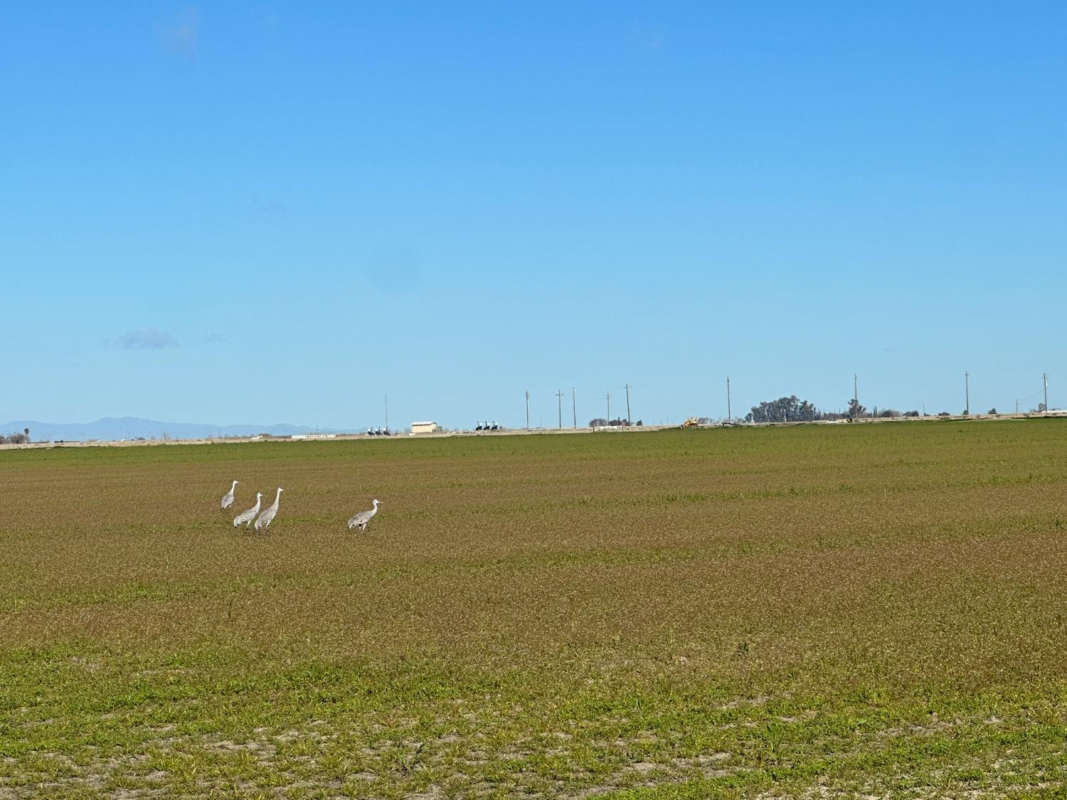 0 South Turner Island Road Los Banos, CA 93620 - Photo 9 of 12 a view of an ocean