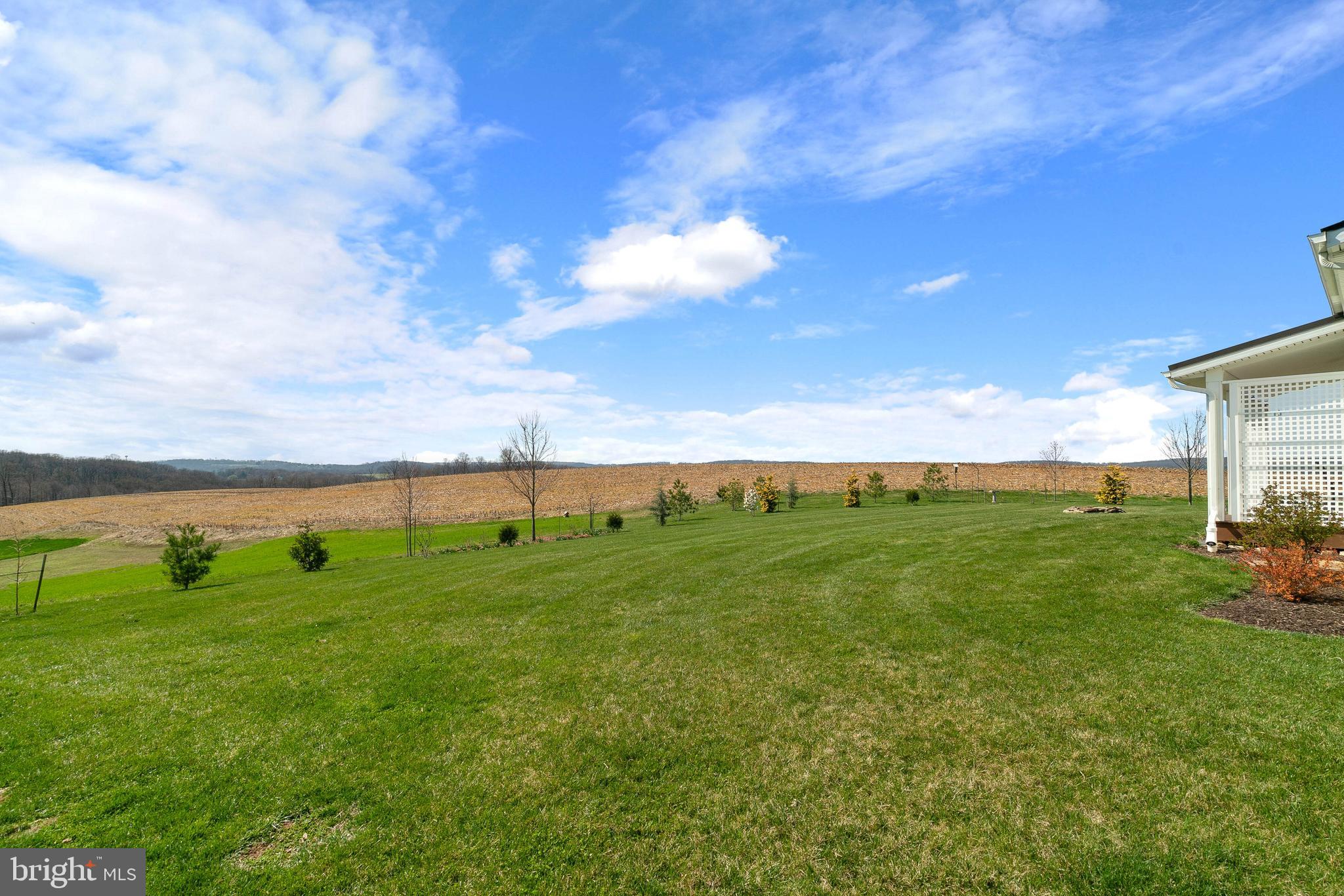 4464 Alesia Lineboro Road Manchester, MD 21102 - Photo 49 of 50 Rear yard