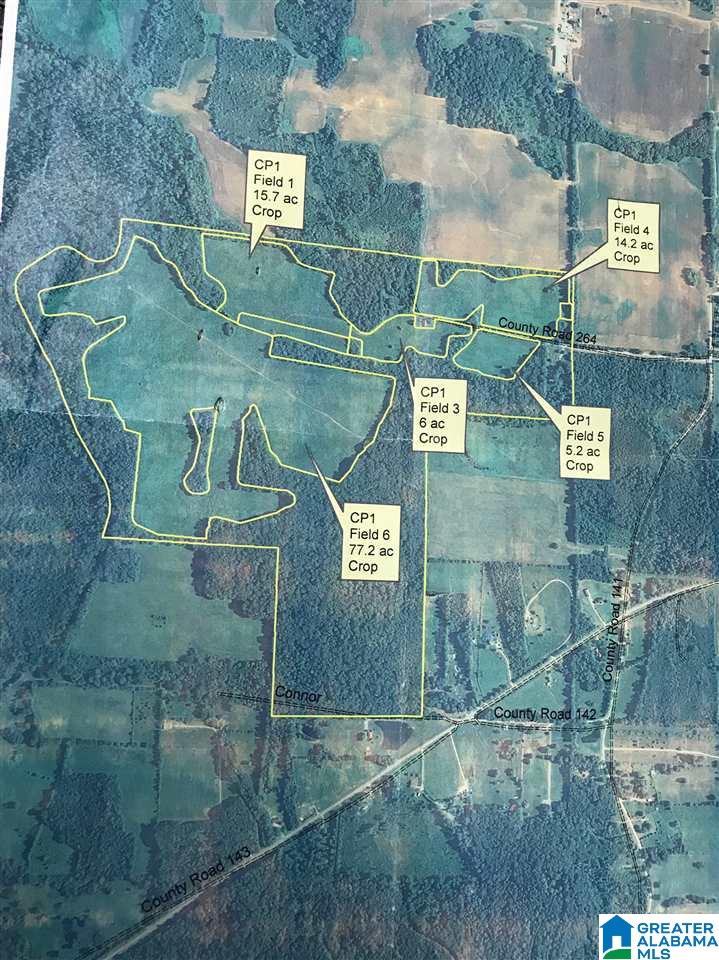 264 County Road, Unit 50735000 Moulton, AL 35650 - Photo 1 of 3
