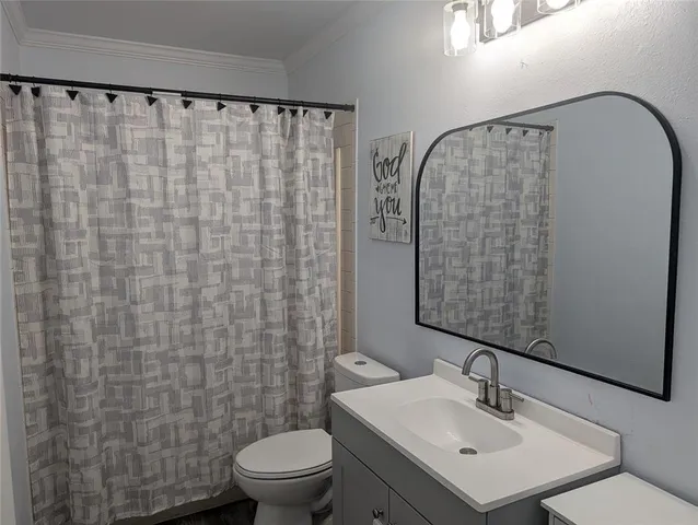 a bathroom with a sink a toilet and shower curtain