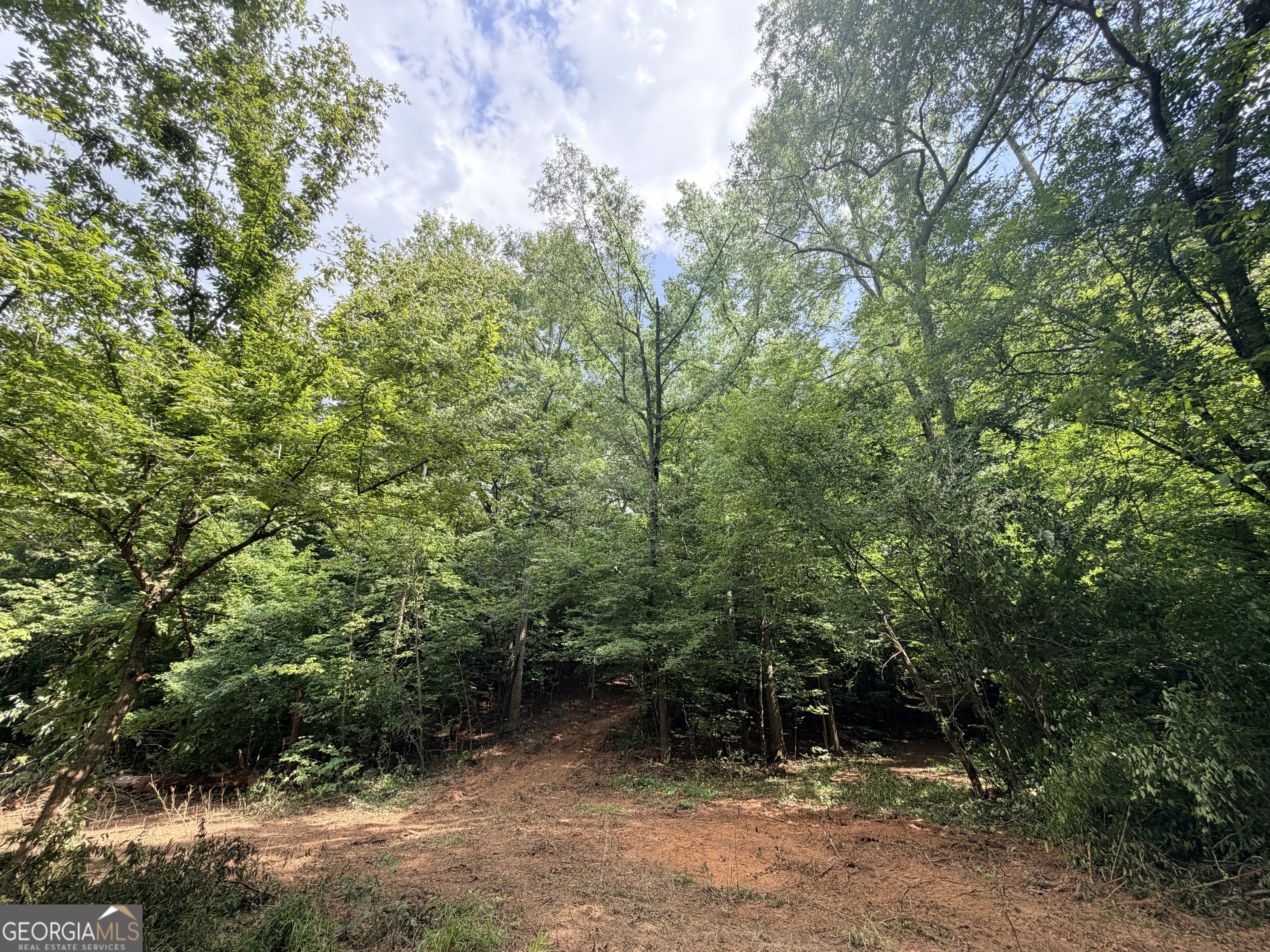 1590 James Adams Road Danielsville, GA 30633 - Photo 59 of 98