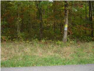 10 Pete Green Road Dunlap, TN 37327 - Photo 1 of 1 Primary Photo