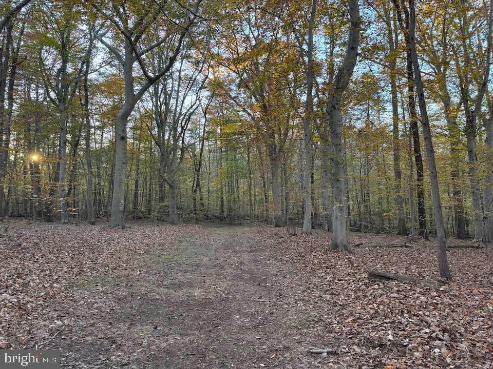 3515 Clayton Road Joppa, MD 21085 - Photo 29 of 45