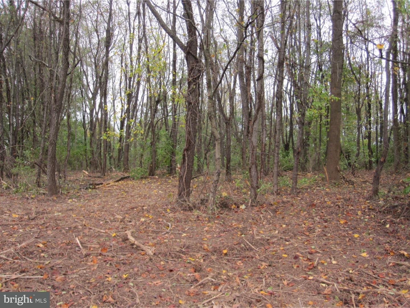 Lot 3 Sproul Road Kirkwood, PA 17536 - Photo 2 of 11