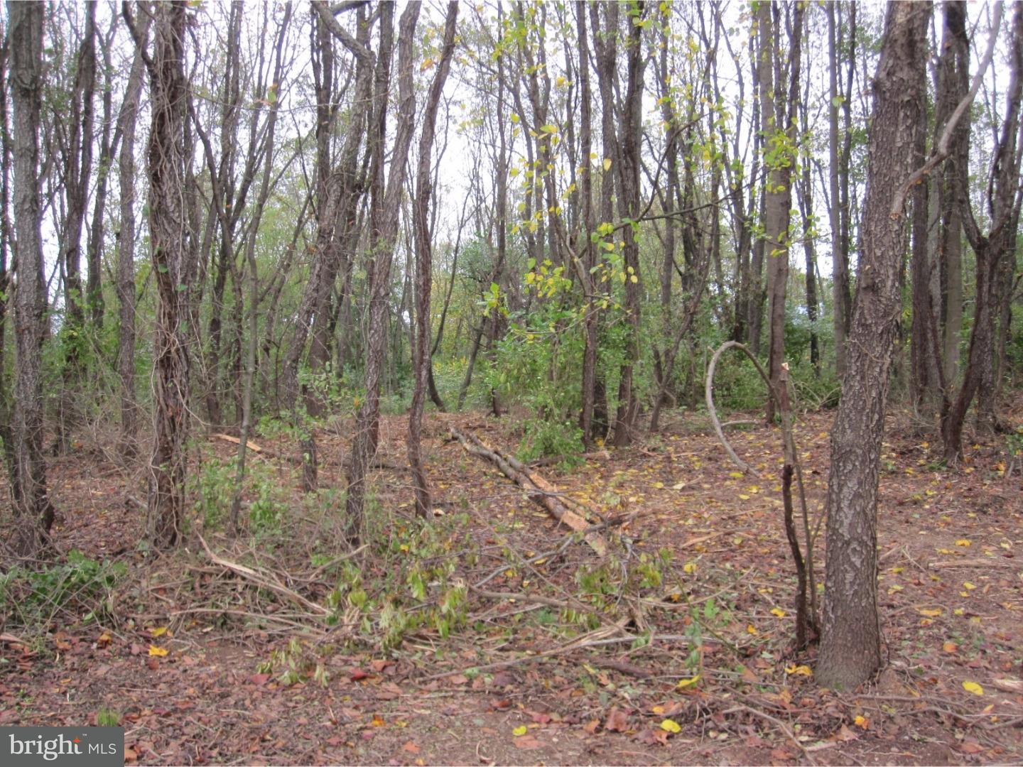 Lot 3 Sproul Road Kirkwood, PA 17536 - Photo 3 of 11