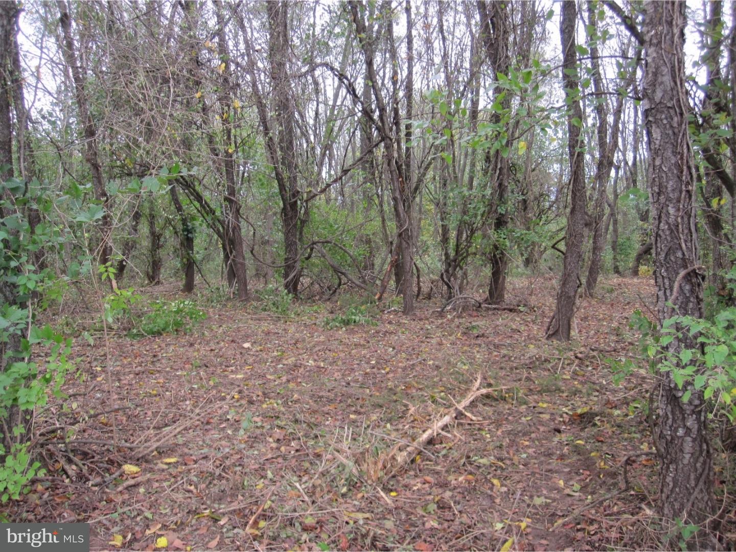 Lot 3 Sproul Road Kirkwood, PA 17536 - Photo 9 of 11