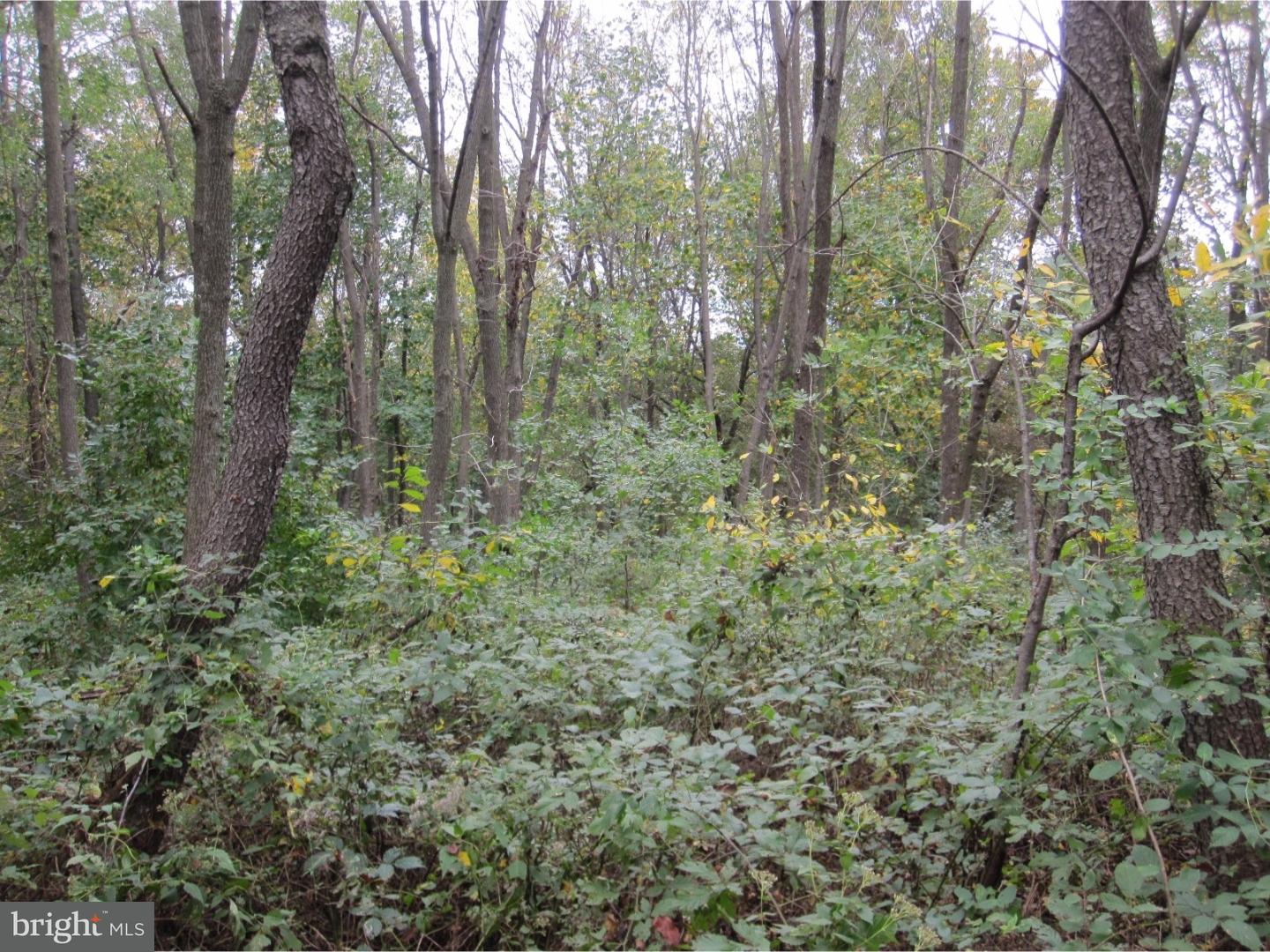 Lot 3 Sproul Road Kirkwood, PA 17536 - Photo 10 of 11