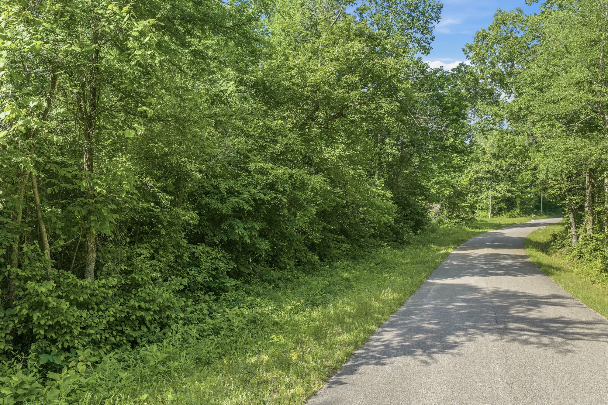 1761 Pugh Road Holladay, TN 38341 - Photo 11 of 18 Gallery Image 11