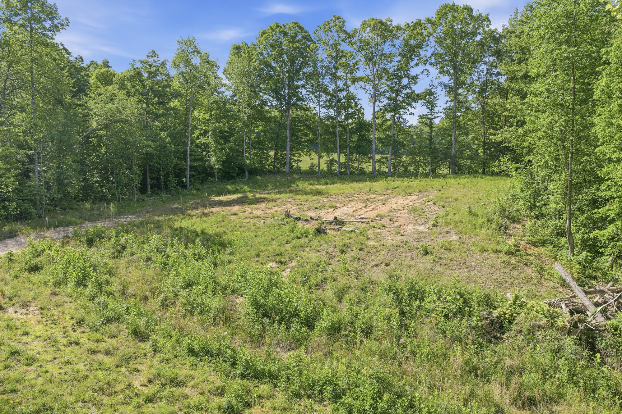 1761 Pugh Road Holladay, TN 38341 - Photo 12 of 18 Gallery Image 12