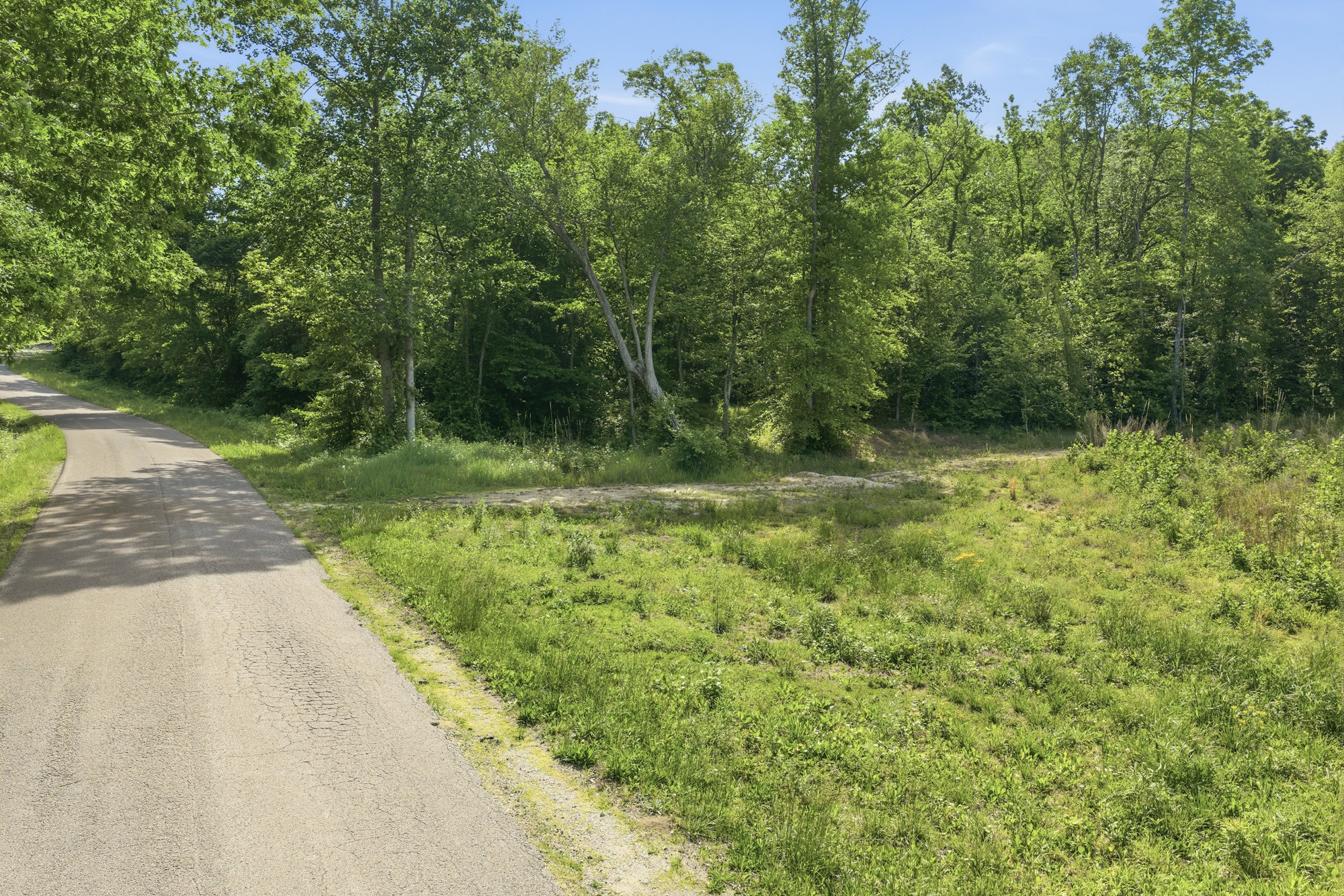 1761 Pugh Road Holladay, TN 38341 - Photo 13 of 18 Gallery Image 13