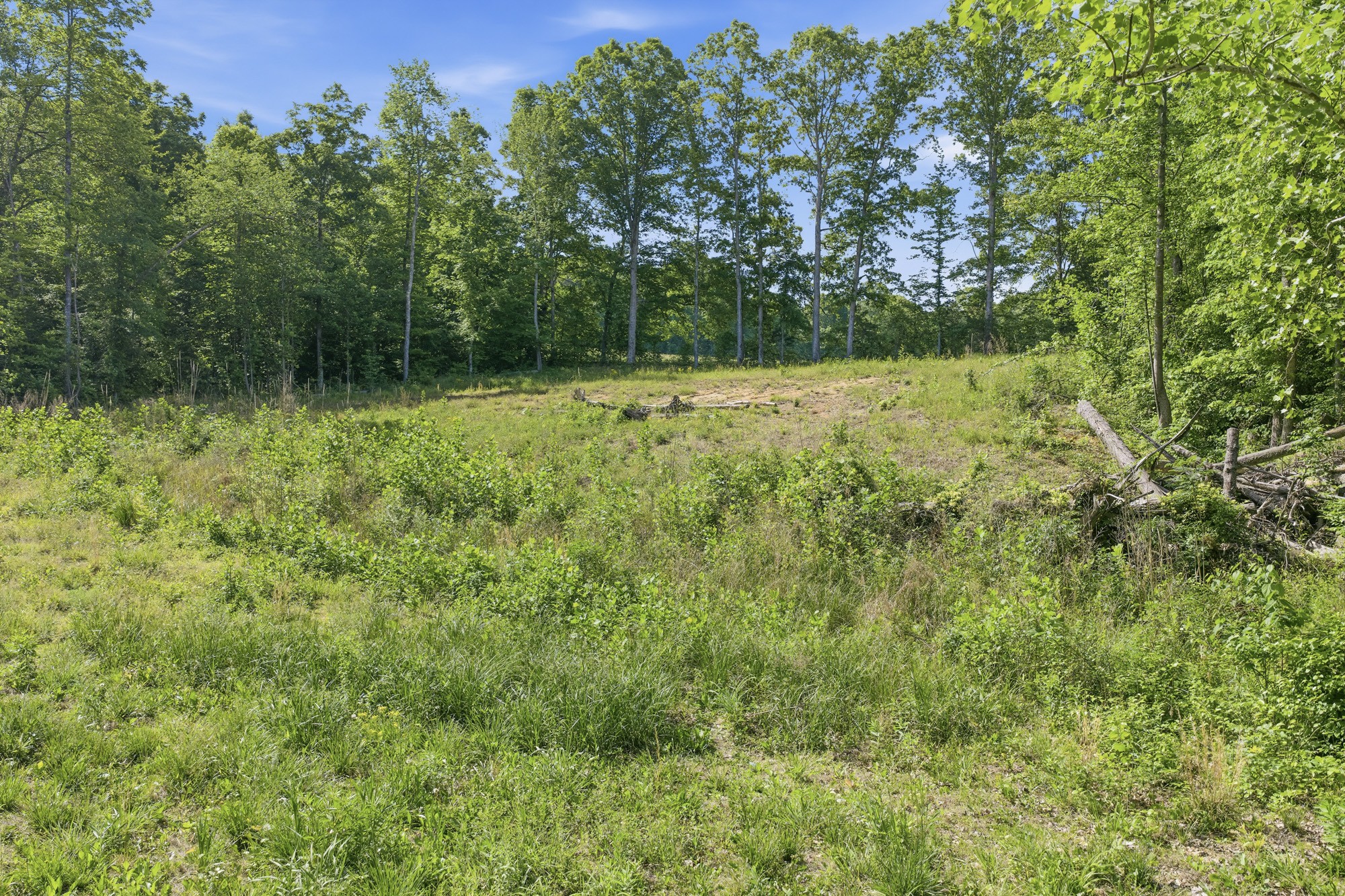 1761 Pugh Road Holladay, TN 38341 - Photo 14 of 18 Gallery Image 14