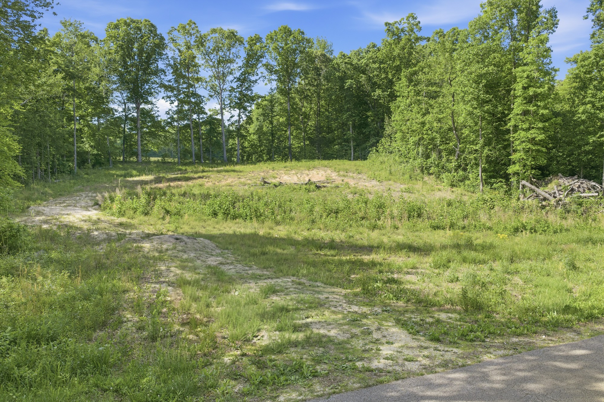 1761 Pugh Road Holladay, TN 38341 - Photo 18 of 18 Gallery Image 18