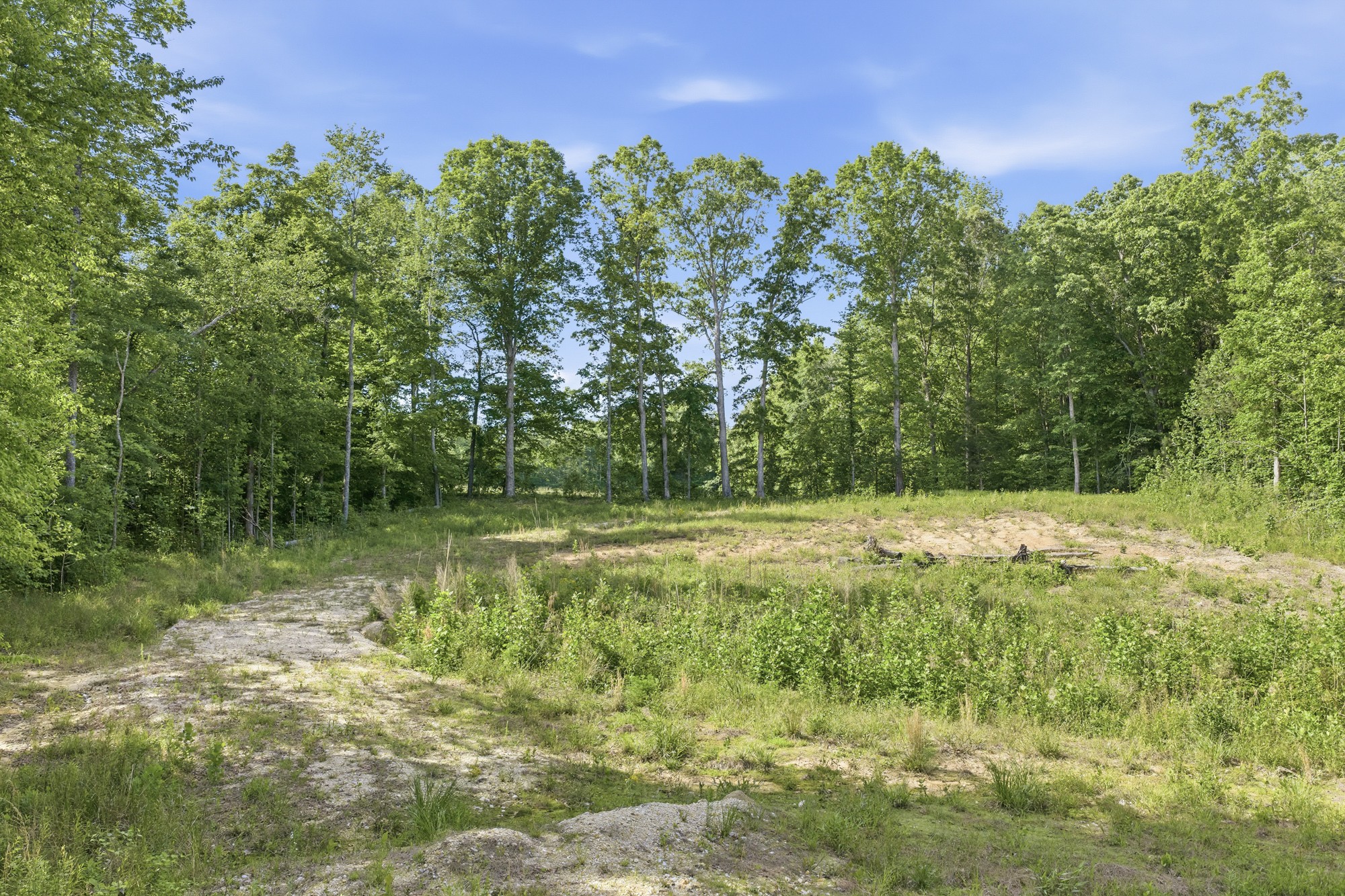 1761 Pugh Road Holladay, TN 38341 - Photo 2 of 18 Gallery Image 2