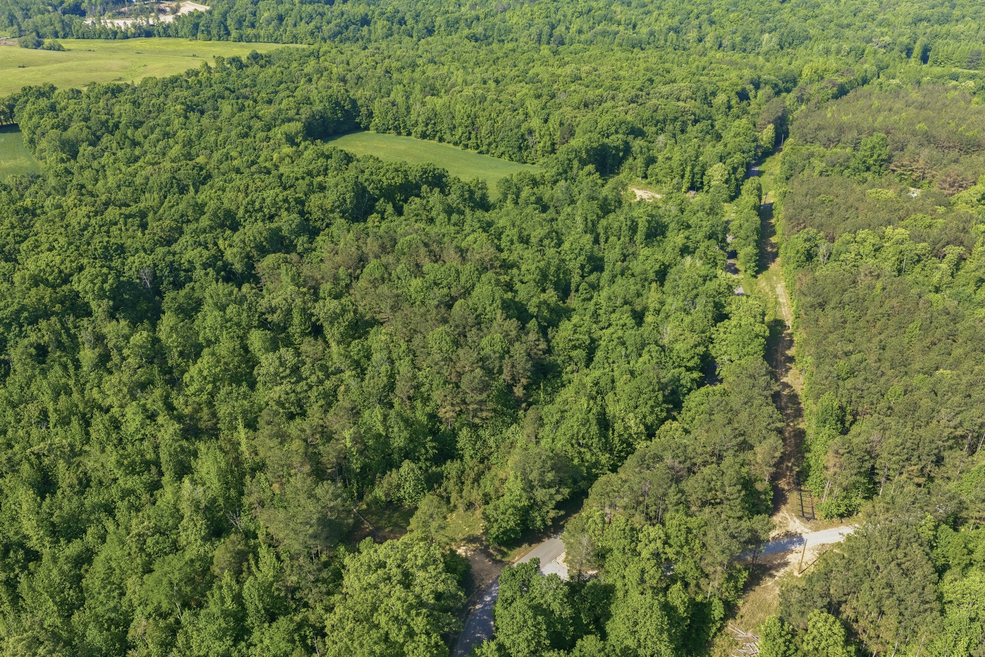 1761 Pugh Road Holladay, TN 38341 - Photo 3 of 18 Gallery Image 3