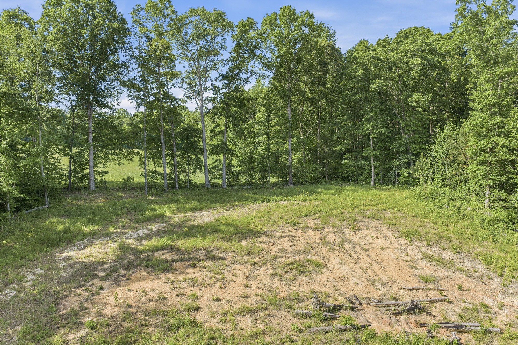 1761 Pugh Road Holladay, TN 38341 - Photo 4 of 18 Gallery Image 4
