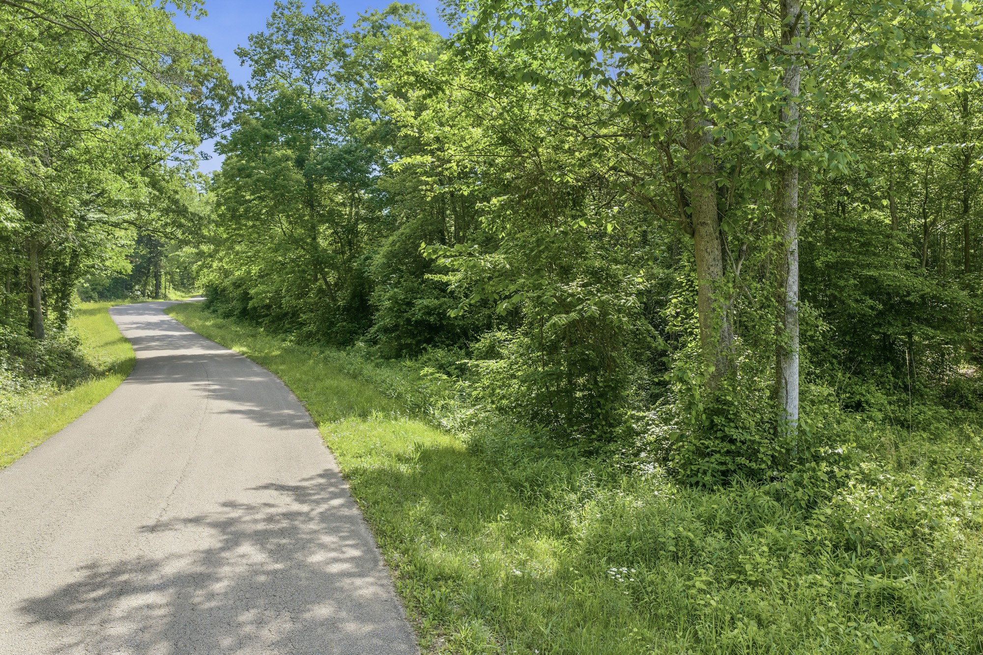 1761 Pugh Road Holladay, TN 38341 - Photo 6 of 18 Gallery Image 6