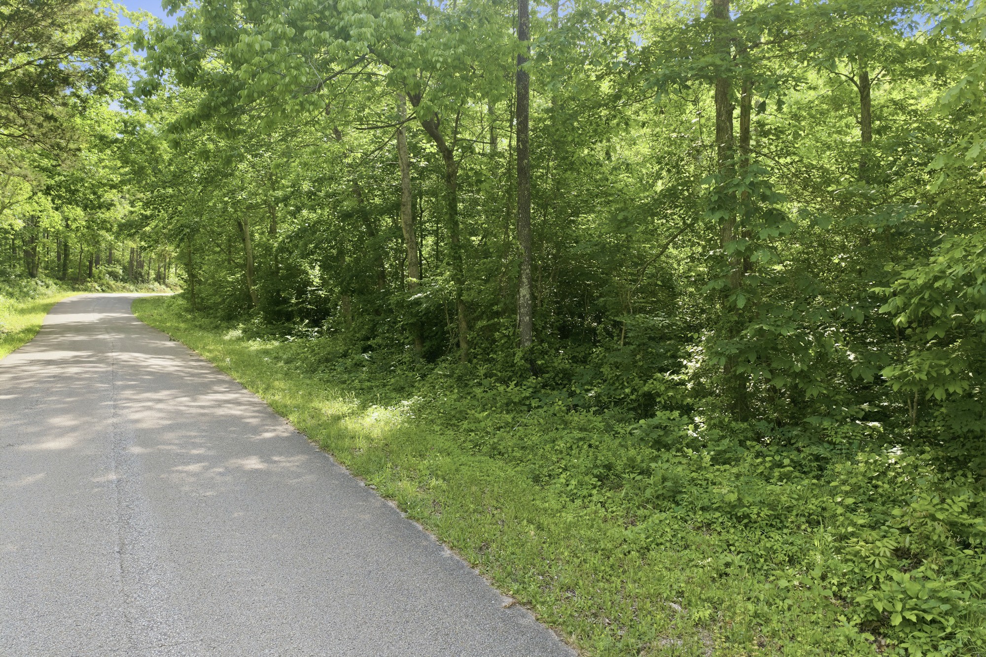 1761 Pugh Road Holladay, TN 38341 - Photo 8 of 18 Gallery Image 8