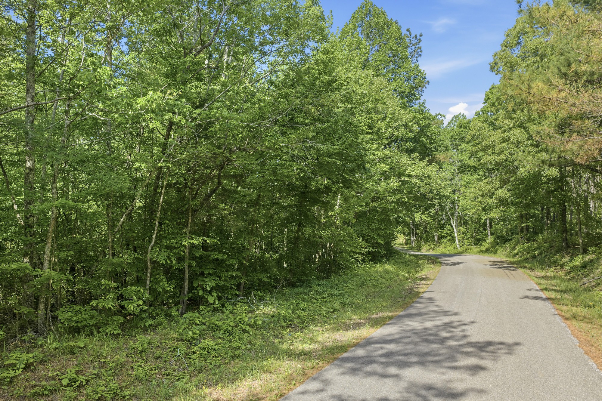 1761 Pugh Road Holladay, TN 38341 - Photo 9 of 18 Gallery Image 9
