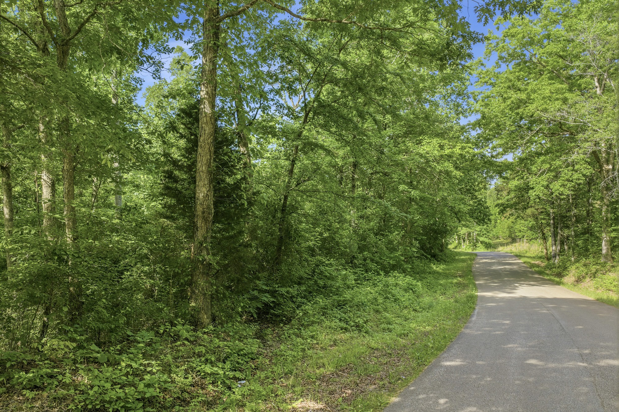 1761 Pugh Road Holladay, TN 38341 - Photo 10 of 18 Gallery Image 10