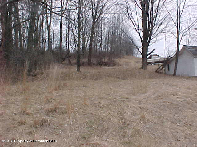 Academy Street Springville, PA 18844 - Photo 6 of 6 a view of a dry yard with trees