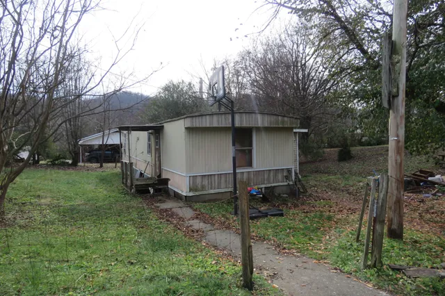 a view of backyard with wooden fence and a large tree