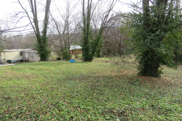 a view of a yard with trees