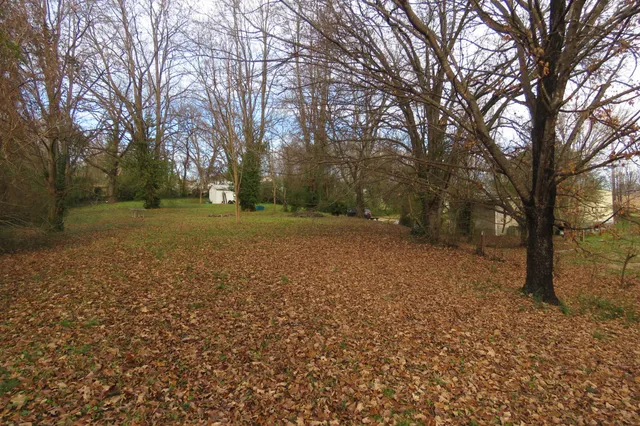 a view of a trees in a yard