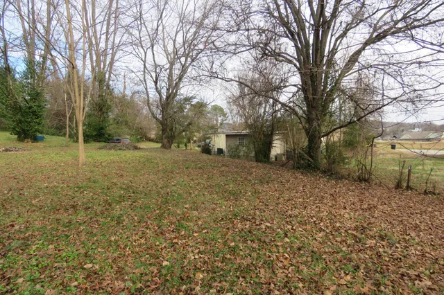 a view of a yard with a tree