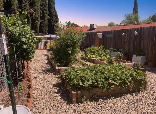 a view of a backyard