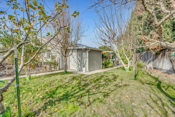 a view of a potted plant next to a wall