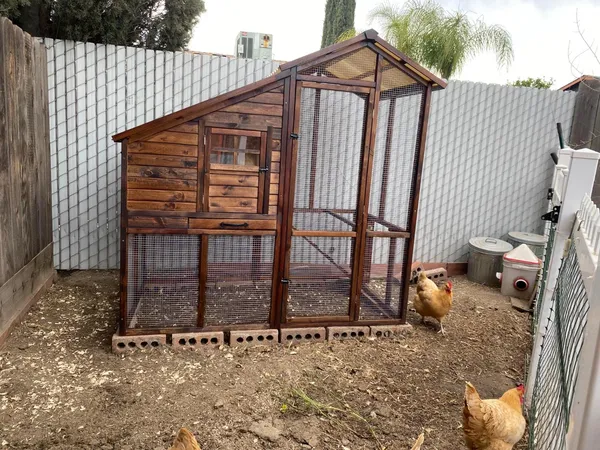 a view of a pathway with a yard