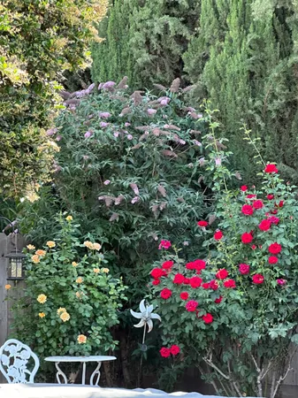 $549,900 | 138 Roxie Court, Ripon, CA 95366