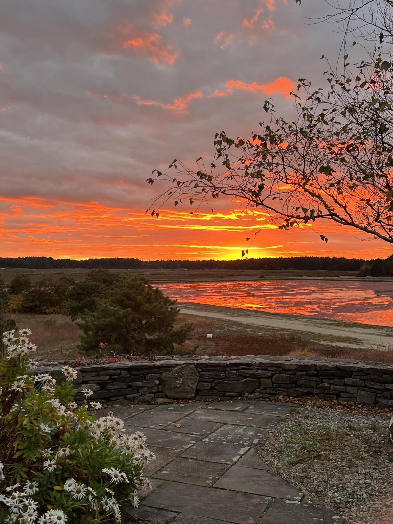 102 Maple Springs Road Wareham, MA 02571 - Photo 52 of 56 IMG_6535