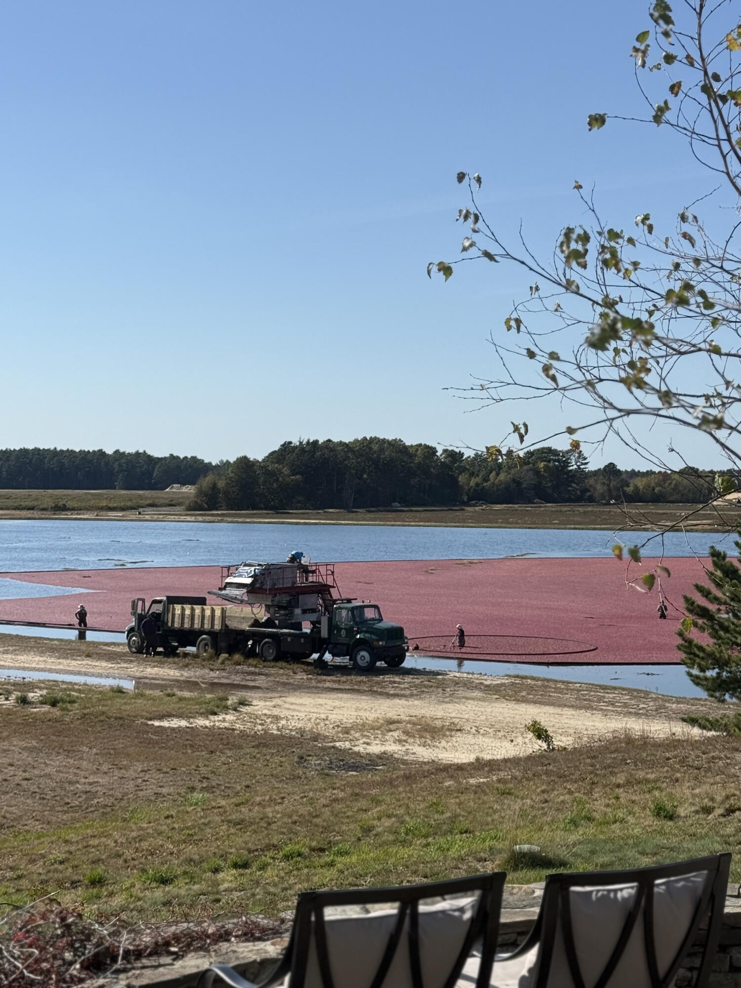 102 Maple Springs Road Wareham, MA 02571 - Photo 53 of 56 IMG_7331