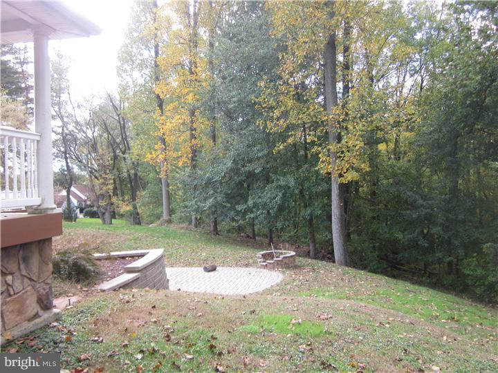 344 New Darlington Road Media, PA 19063 - Photo 18 of 25 Side Yard
